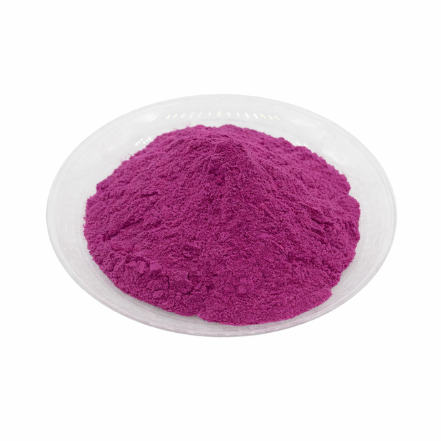 Cactus Powder Supplier | Bulk Botanical Powder for Food, Beverage, and Nutritional Applications