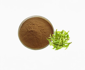 Catechin 98%