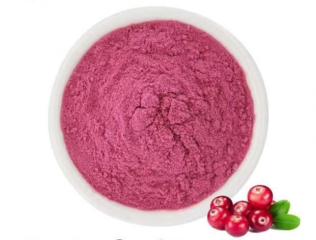 Cranberry Powder Supplier | Bulk Fruit Powder for Food, Beverage, and Nutritional Applications