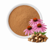 Echinacea Polyphenols 4%