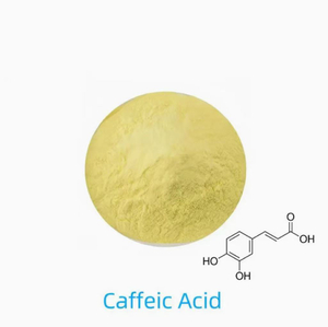 Caffeic Acid 99%