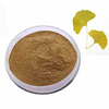 Ginkgo Biloba Extract 24/6 Supplier
