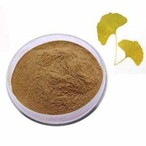 Ginkgo Biloba Extract 24/6 Supplier