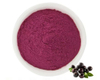 Acai Powder Supplier | Bulk Fruit Powder for Food, Beverage, and Nutritional Applications
