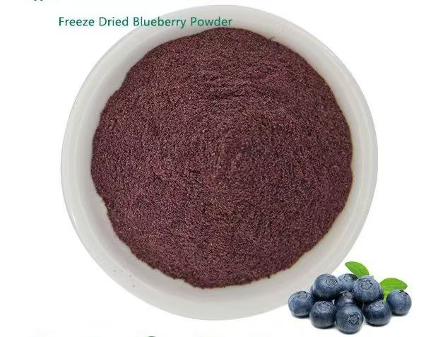 Blueberry Powder Supplier | Bulk Fruit Powder for Food, Beverage, and Nutritional Applications