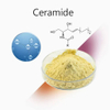 Ceramide 1%