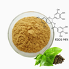 Catechin 98%