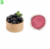 Aronia Berry Extract Anthocyanin Powder