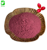 Wholesale 100% Natural Synsepalum Dulcificum Miracle Berry Powder