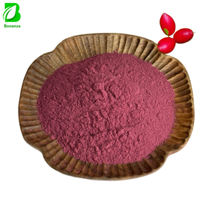 Wholesale 100% Natural Synsepalum Dulcificum Miracle Berry Powder