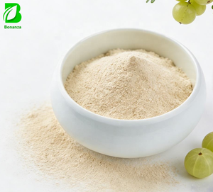 Bulk Amla Powder Natural Phyllanthus Emblica Fruit Powder Manufacturer Direct