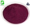 Natural Organic Blueberry Fruit Extract Powder Blueberries Juice Powder Freeze Dried Blueberry Powder