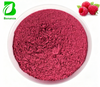 Wholesale Price Natural Organic Raspberry Powder Pure Raspberry Fruit Extract Powder Dried Raspberry Powder for Food Additive