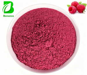 Wholesale Price Natural Organic Raspberry Powder Pure Raspberry Fruit Extract Powder Dried Raspberry Powder for Food Additive