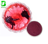 Food Grade Natural Roselle Extract Powder High Anthocyanin ISO Certified 
