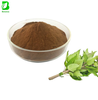 Factory Supply Nettle Leaf Extract Powder