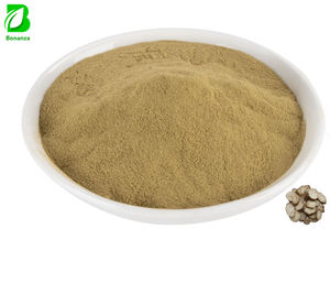 ISO Certified Pure Pueraria Mirifica Extract Bulk Kudzu Root Powder