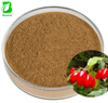 CAS 18524‑94‑2 Cornus Officinalis Extract Loganin 10% Dogwood Extract Powder
