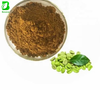 Green Coffee Bean Extract Powder 10:1 Chlorogenic Acid Bulk