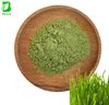 OEM Organic Barley Grass Powder Bulk Pure Barley Grass Juice Powder Private Label