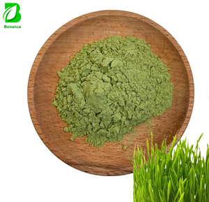 OEM Organic Barley Grass Powder Bulk Pure Barley Grass Juice Powder Private Label