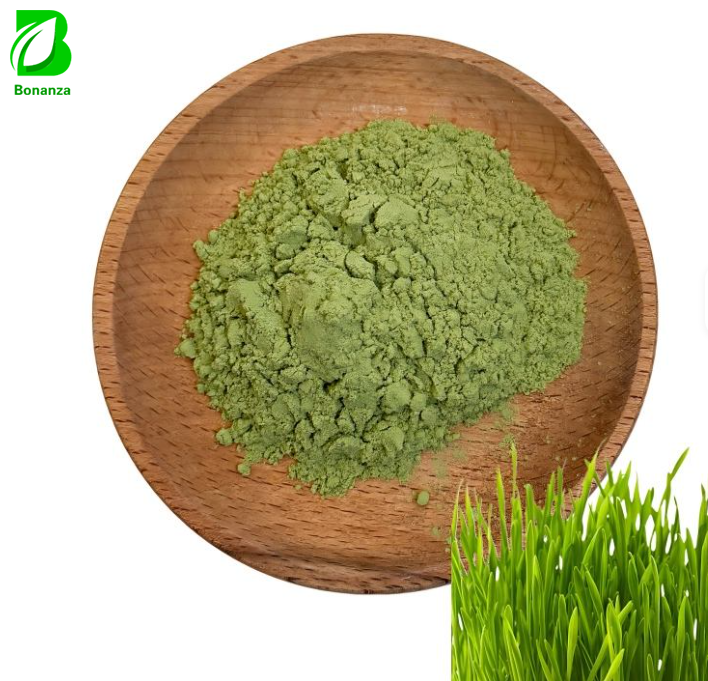 OEM Organic Barley Grass Powder Bulk Pure Barley Grass Juice Powder Private Label