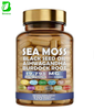 OEM Irish Sea Moss Capsules Black Seed Oil Ginger Turmeric Ashwagandha Blend