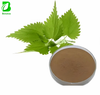 Urtica Dioica Root Extract Powder Stinging Nettle Extract Health Food Grade