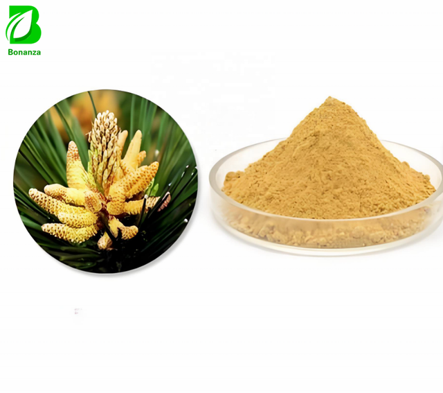 Organic Pine Pollen 5:1 Extract Powder, Health Food Grade Drum Pack