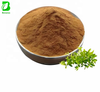 Thymus Vulgaris Extract Powder Thyme Leaves Extract Health Food Grade