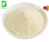 Wholesale Bulk Instant Fruit Juice Powder Passion Fruit Juice Powder