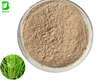 Natural Horsetail Extract Powder Horsetail P.E 20:1