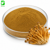 Best Selling Cordyceps Militaris Extract Powder, Cordyceps Mushroom Flower Extract