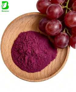 Hot Selling Food Grade Red Grape Juice Powder Antioxidant Health Supplement