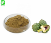 Artichoke Leaf Extract Powder 2.5% Cynarin Food Grade Bulk