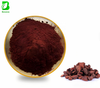 Pinus Bark Extract Powder, Health Food Grade, Solvent Extraction Drum Pack
