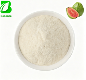 Guava Drink Powder Water Soluble Guava Fruit Juice Powder Extract