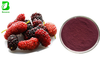 Natural Morus Alba L Extract Mulberry Fruit Extract Powder Anthocyanins 5-25%