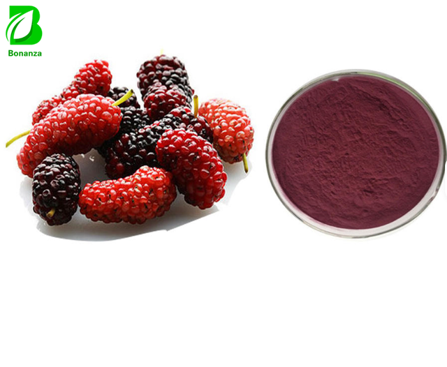Natural Morus Alba L Extract Mulberry Fruit Extract Powder Anthocyanins 5-25%