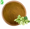 Hops Extract 4:1 Humulus Lupulus Flower Powder for Supplement & Beverage