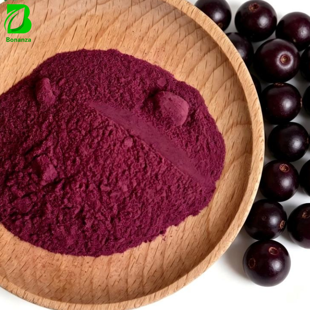 Wholesale Bulk Freeze Dried Acai Berry Powder Natural Acai Fruit Powder