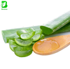 Bulk Export Freeze-Dried Aloe Vera Gel Freeze Dried Powder