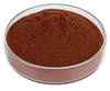 High Quality Grapeseed Grape Proanthocyanidins Procyanidin OPC Powder 95% Grape Seed Extract