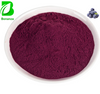 Blueberry Fruit Extract Powder Blueberries Juice Powder Freeze Dried Blueberry Powder