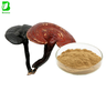 Fungal Chitosan Extraction From Mushroom