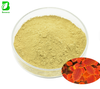 Hot Sale Fisetin Powder Cotinus Coggygria Extract Anti-Aging Supplement & Skincare