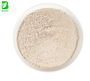 Factory Supply Garlic Extract Dehydrated Garlic Powder 25% Allicin in Bulk