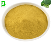 Food Grade Chaga Extract Powder, Natural Chaga Polysaccharide Mushroom Raw Material