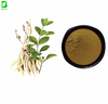 Stemona Root Extract Powder Health Grade
