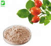 Rose Hips Extract Powder CO2 Extracted Food Grade Bulk